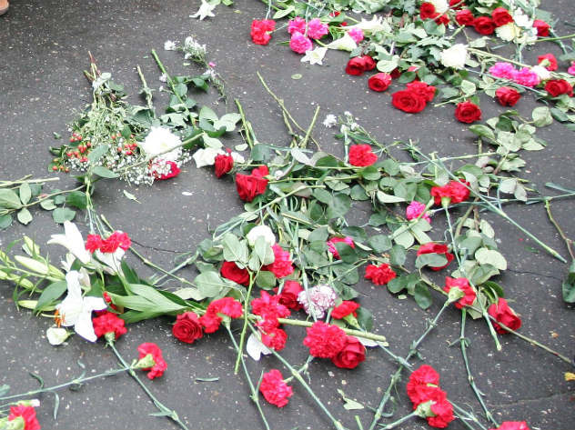 В Самаре женщина привезла гроб к зданию правительства