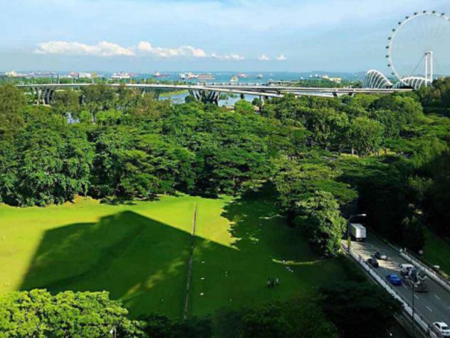 Новая Зеландия