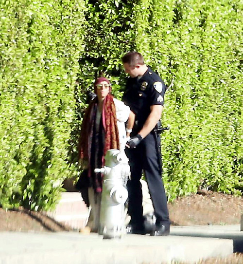 Фанатку Бибера копы повязали возле его нового дома