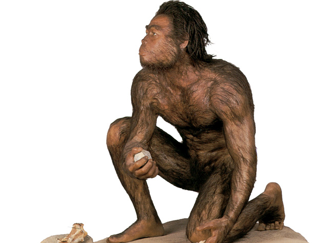 Человек умелый - самый древний вид нашего предка. Он первым использовал примитивные каменные орудия