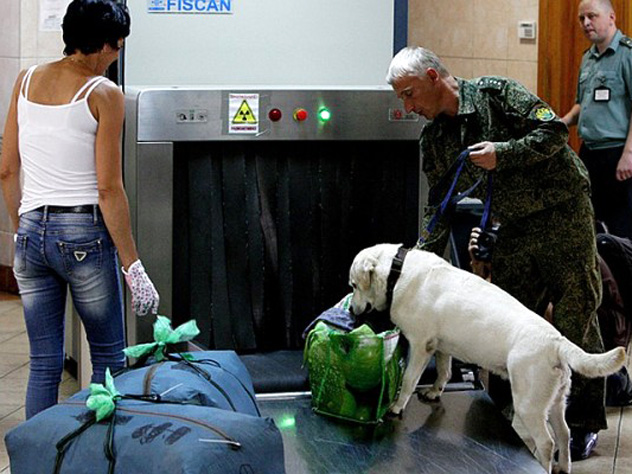 Таможенники станут изучать багаж путешественников с особым пристрастием