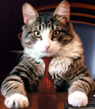 Борис - король рекламы