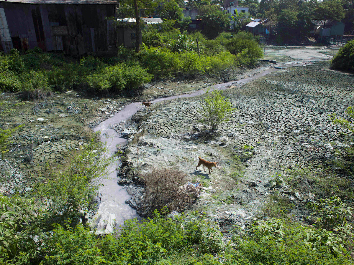 Радиоактивное озеро, озеро, Подмосковье