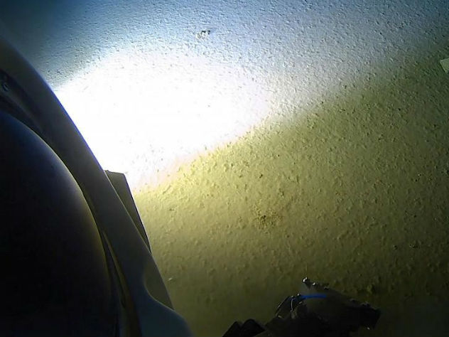 На дне Марианской впадины обнаружили мусор