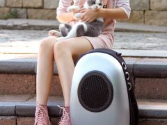 Рюкзак для кошек и маленьких собак. Фото: amazon.com