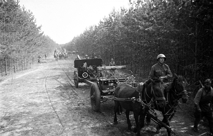 Первые годы артиллерия передвигалась на конной тяге