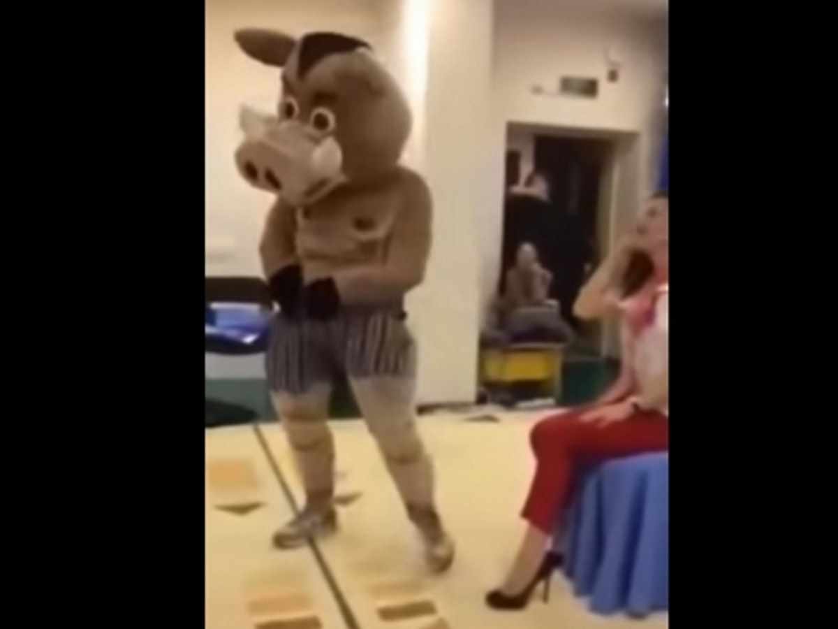 Стриптизер в костюме кабана