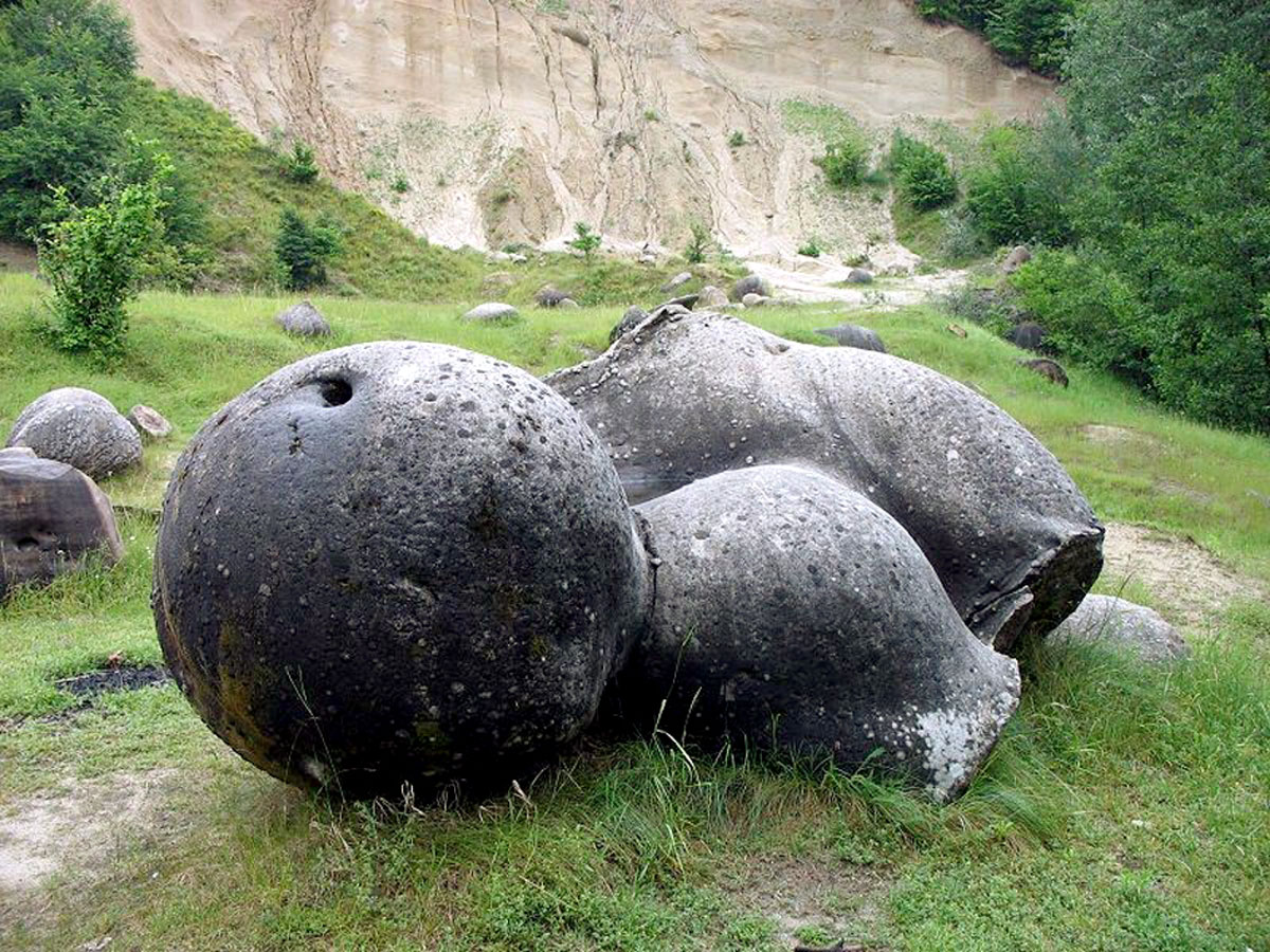 Живые Камни Фото Живые Камни Фото