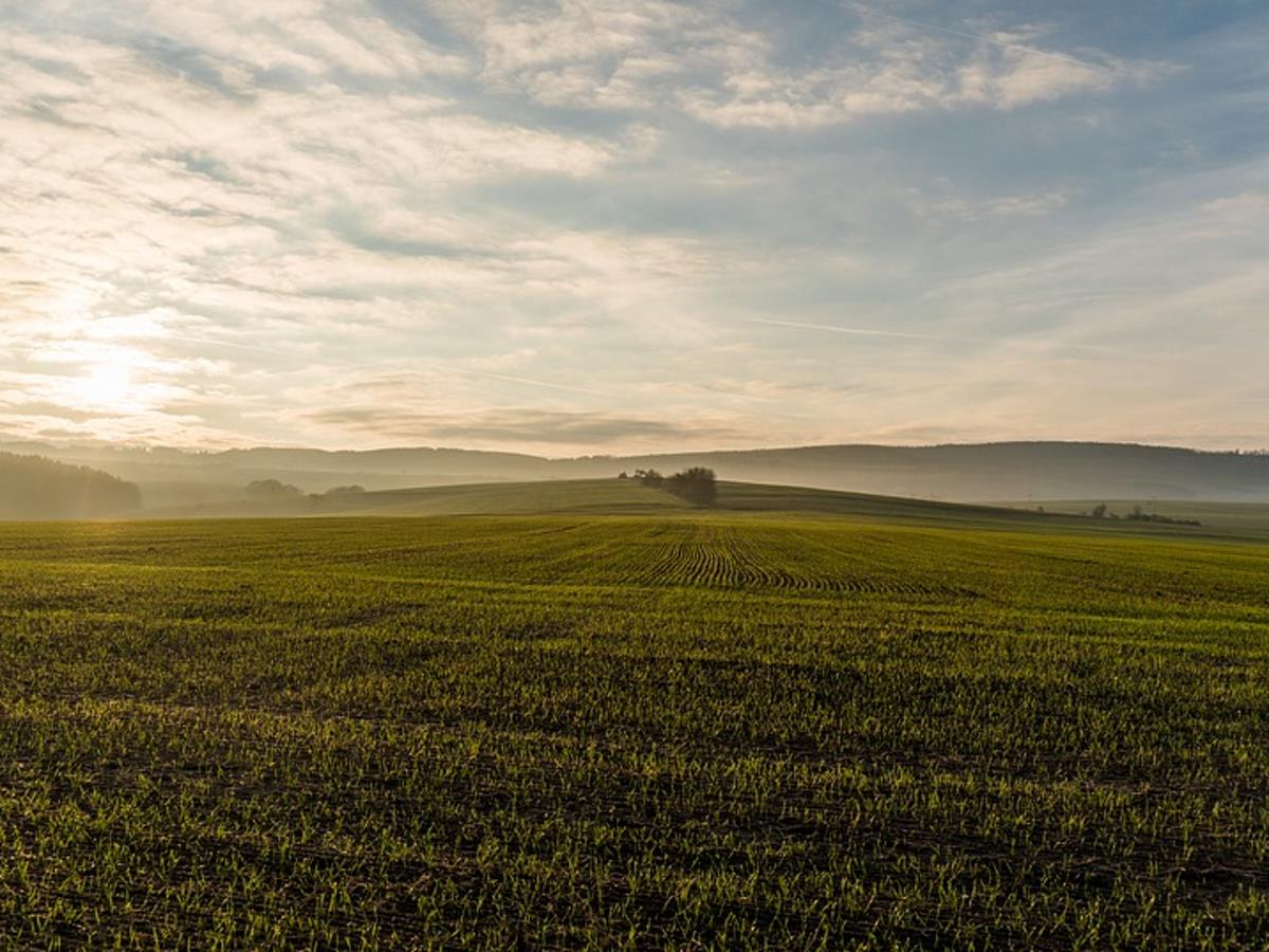 какой сегодня праздник
