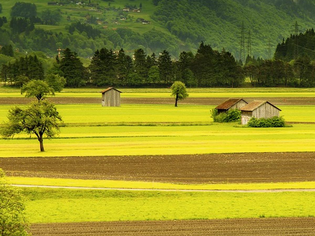 Фото Кириллов День