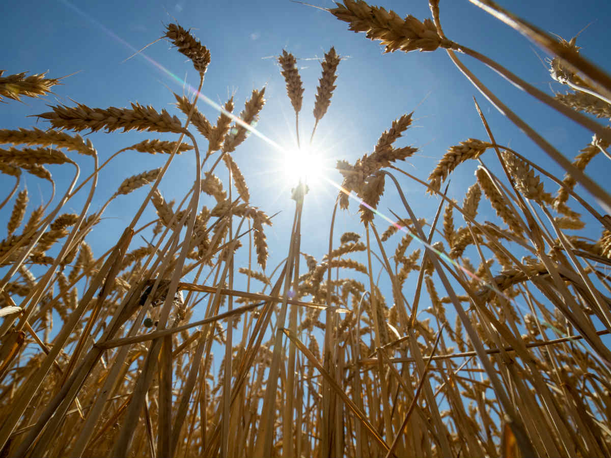 Народные приметы о погоде