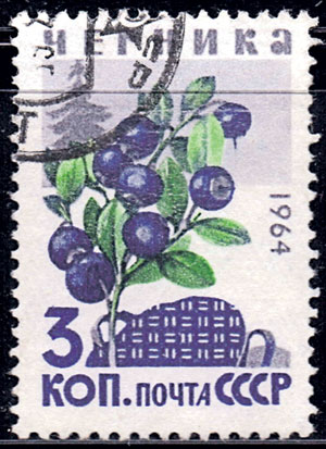 В 1964 году в СССР выпустили тематическую почтовую марку
