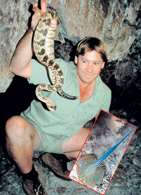 Австралийский натуралист Стив Ирвин