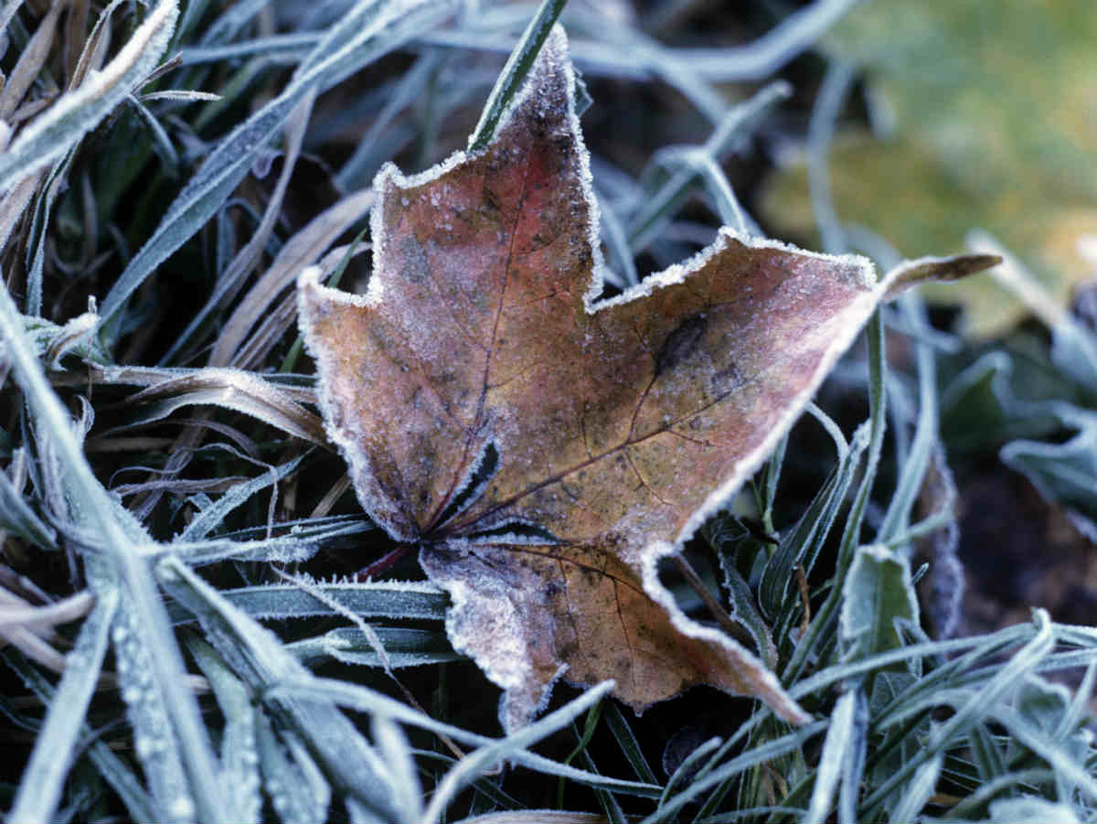 синоптики пообещали россиянам заморозки