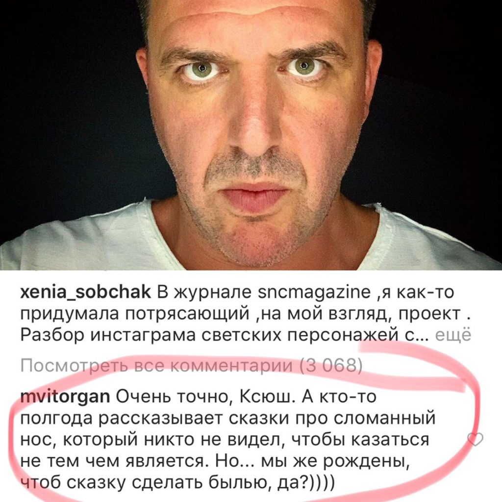 Комментарий Виторгана