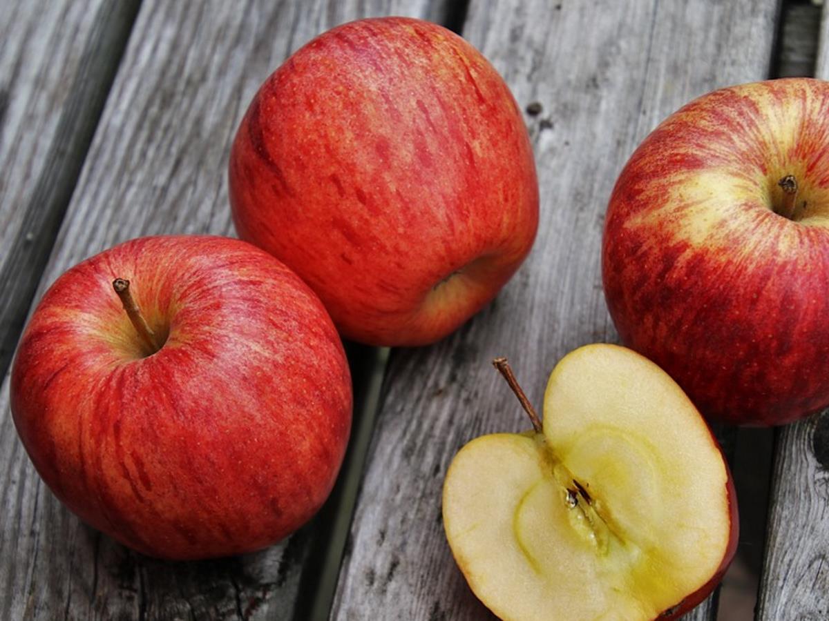 Ермолаев день