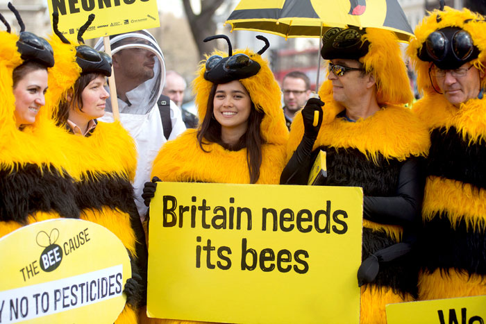 В Европе давно уже проходят массовые акции против уничтожения пчел химическими корпорациями