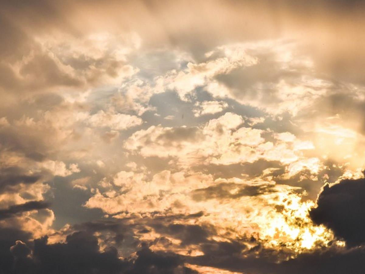 погода в Москве