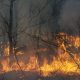 Пожары в лесах Сибири
