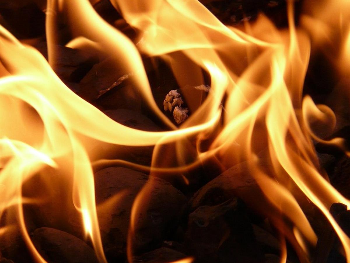 Мэр города в Ярославской области и его супруга сгорели заживо при пожаре