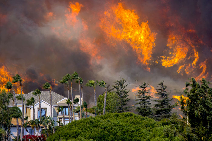 Голливудским звёздам и семьям погибших в пожарах в Калифорнии в голову не пришло обвинять власти в трагедии, потому что огненная стихия сродни цунами: рождается по причине, нам не подвластной. Задача - минимизировать потери