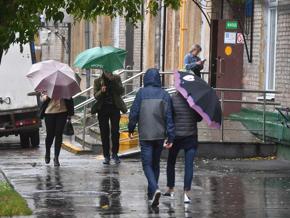 Погода: эта осень грозит нам очень ранними холодами