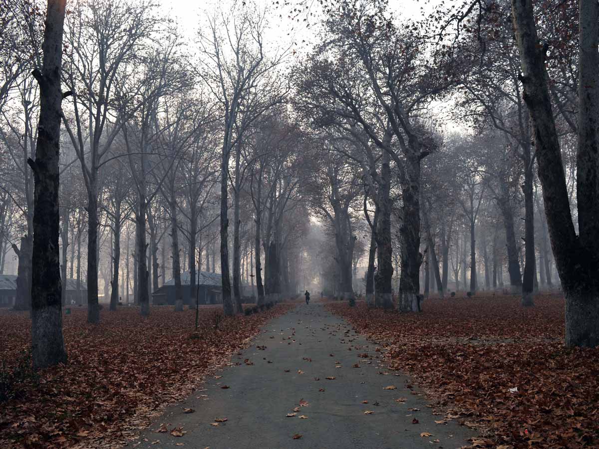 Прогнозы погоды: эта зима нагрянет неожиданно, как снег на голову