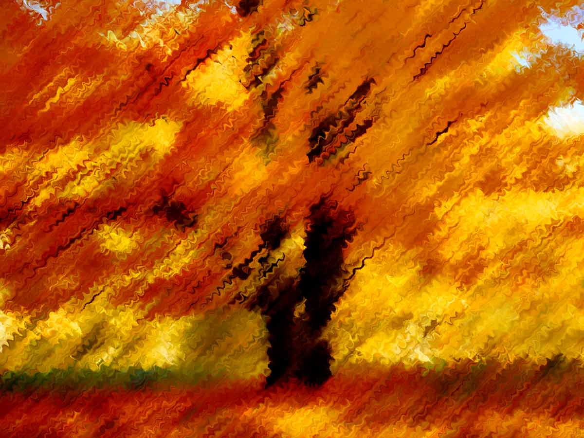 Погода в Москве на 14 дней: осень побалует нас теплом только до выходных