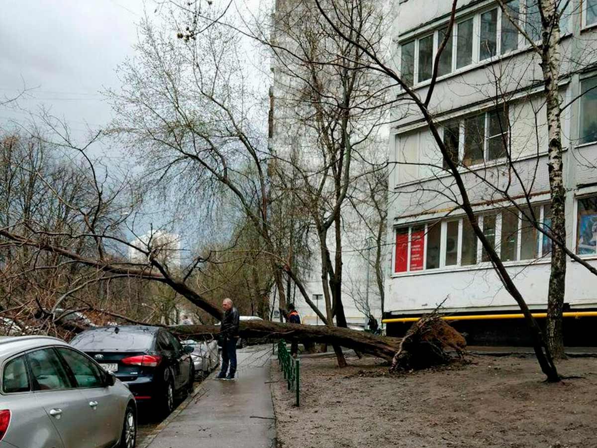 Погода в Москве на месяц: всем приготовиться к холодам и ураганам