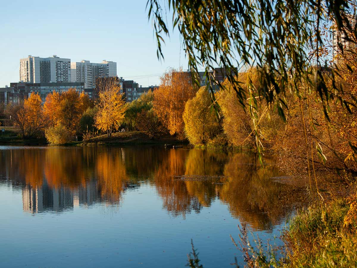 Погода в Москве: Гисметео обещает на теплый и комфортный октябрь