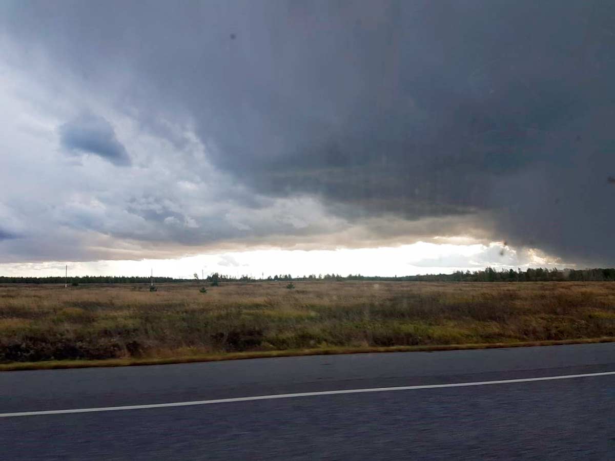 ф. грохот грозы. грохот гроза. арсенюк художник. лес перед грозой.