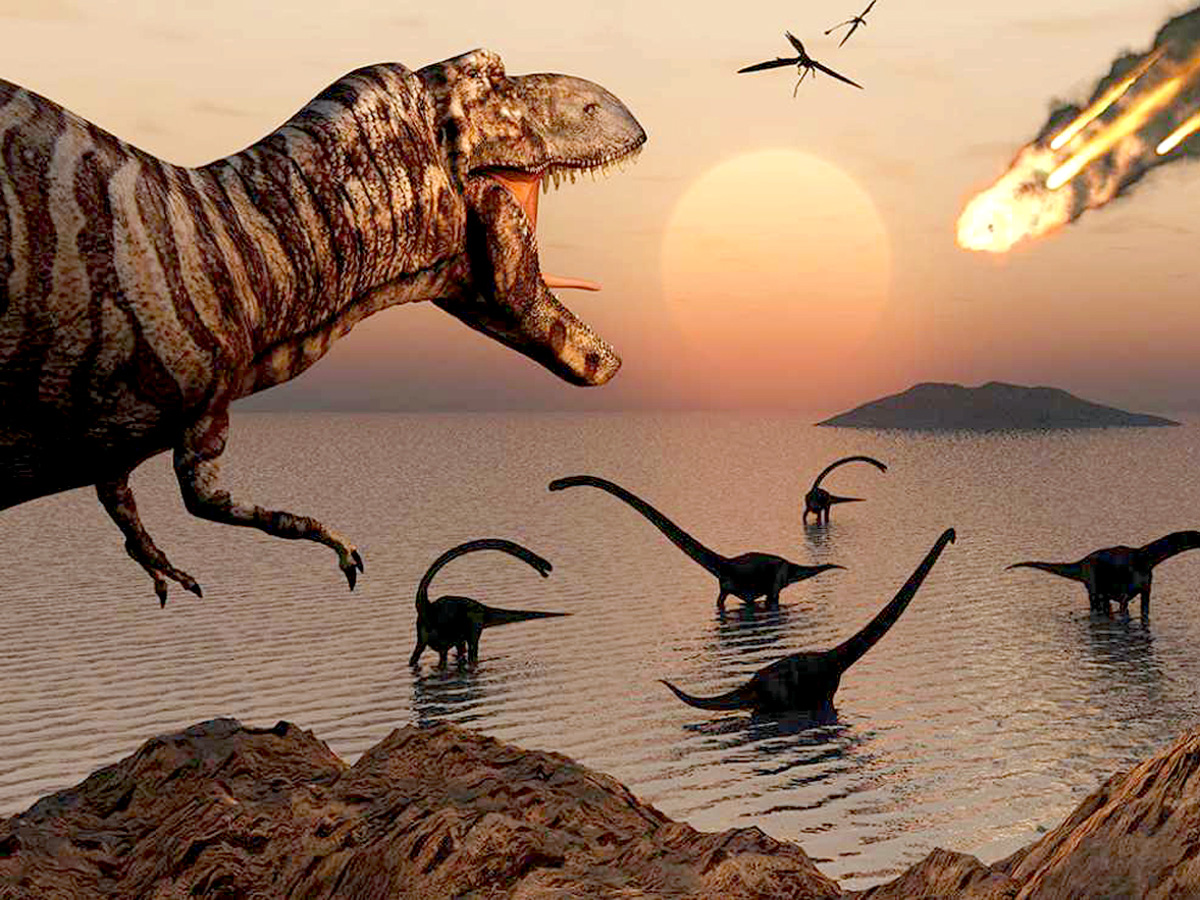 После падения астероида динозавры погибли от ударной волны, цунами, огня, холода и голода