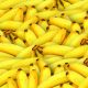 Дефицит бананов из-за извержения вулкана в Эквадоре