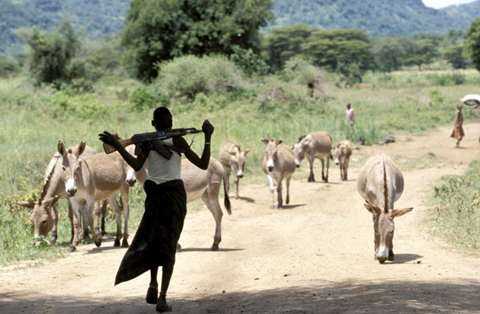 Ослобойни работают круглосуточно