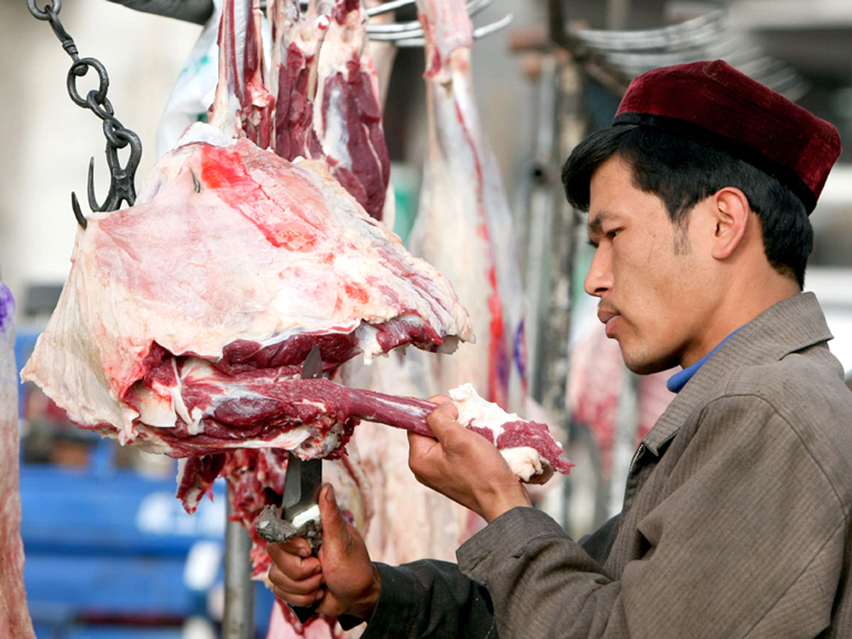 Ослобойни работают круглосуточно