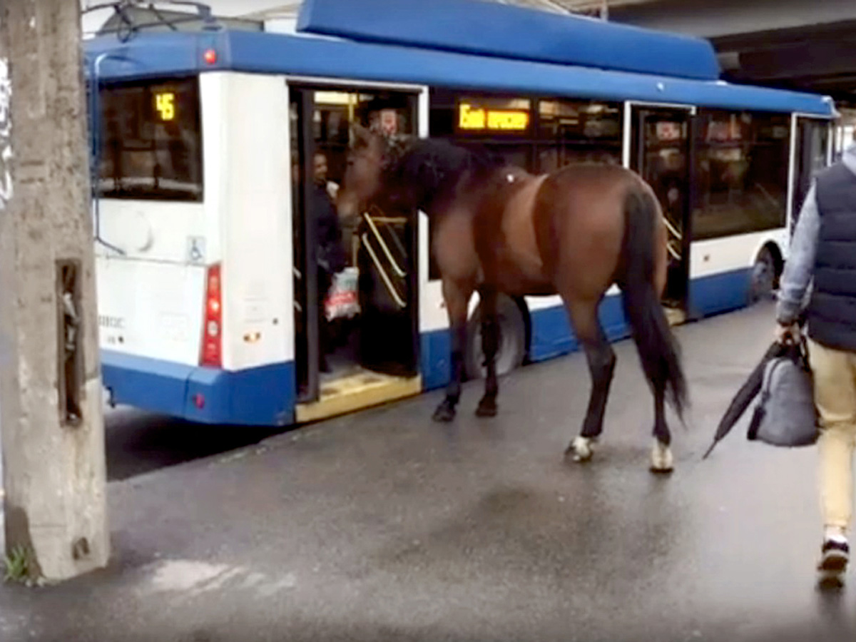 Фото: Соцсети