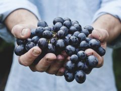 Самая опасная ягода для пожилых