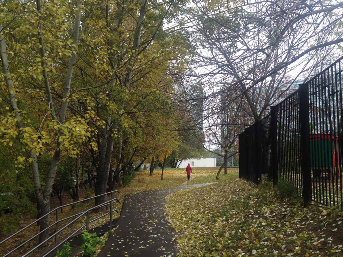 Прогноз погоды: ненастные сюрпризы октября не за горами