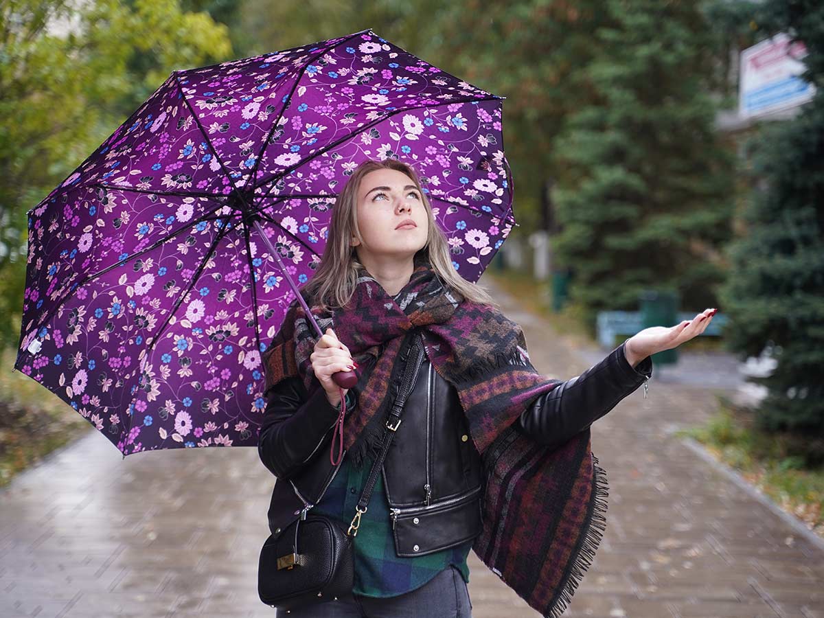 Погода в Москве: этот октябрь порадует теплой грибной порой