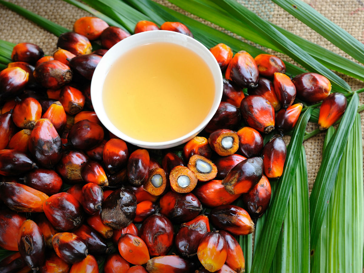 Вред пальмового масла
