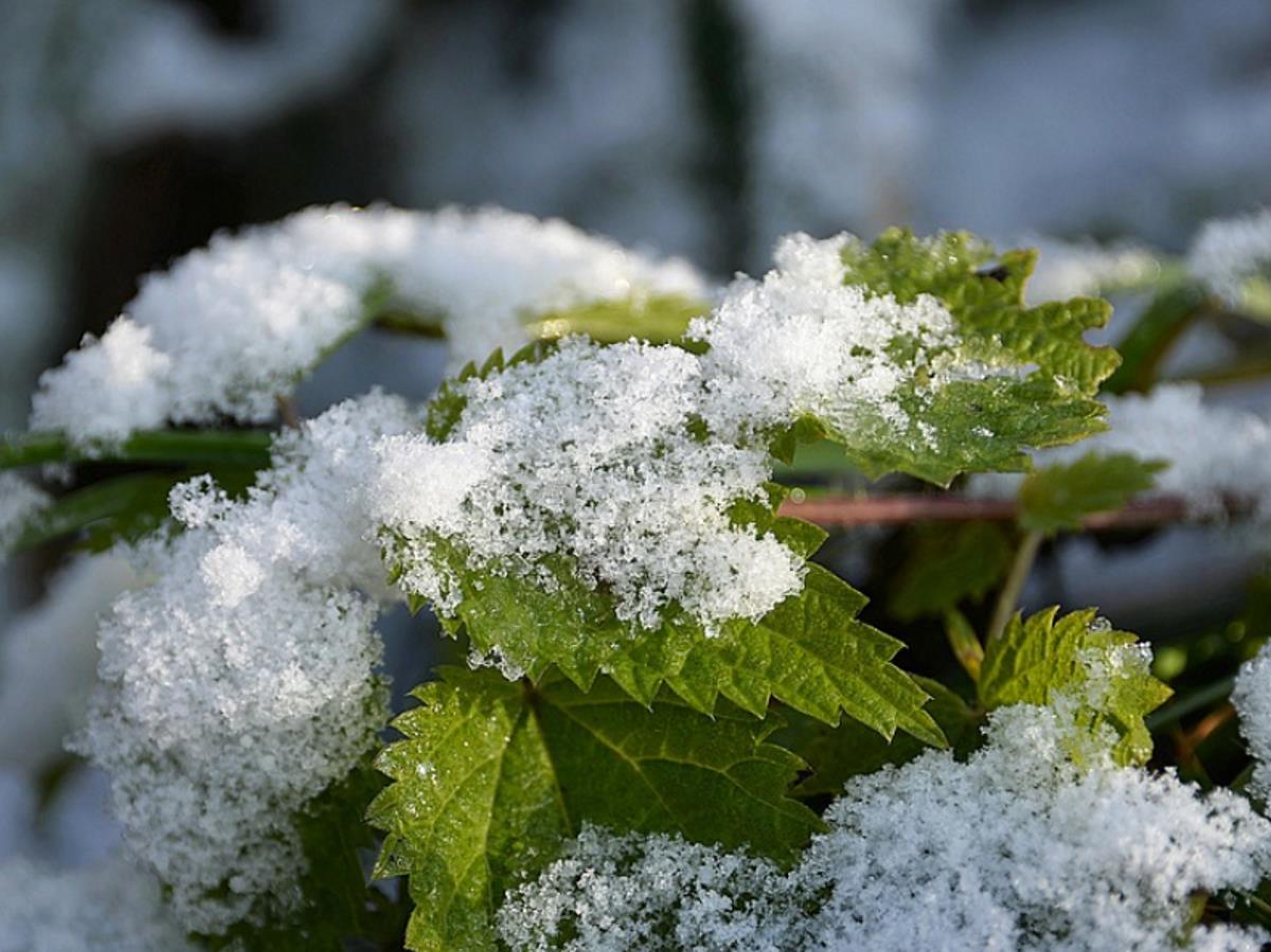 Прогноз погоды в Москве