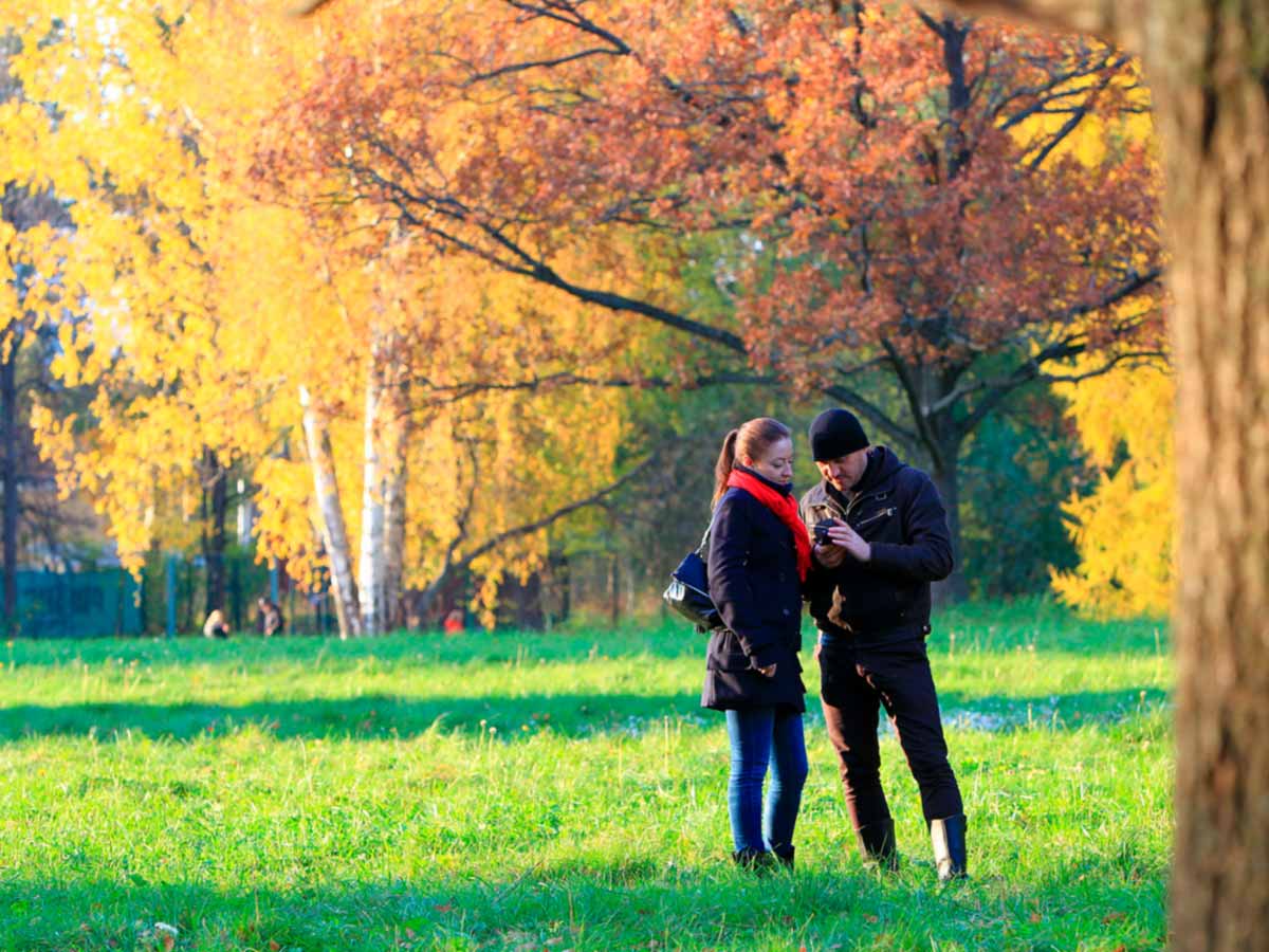 Погода в Санкт-Петербурге: финал осени удивит теплом
