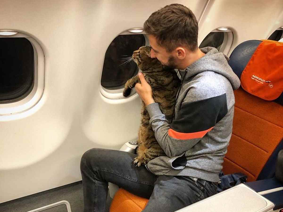 Михаил Галин со своим котом Михаил Галин со своим котом