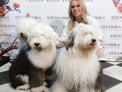 НАТАЛЬЯ ГУЛЬКИНА