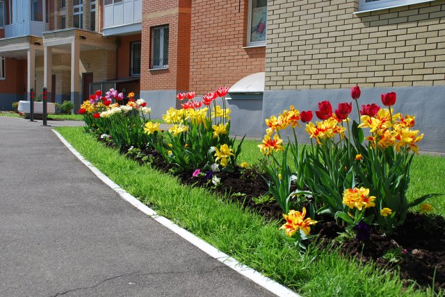 поле Атрибут alt