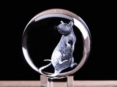 Что дарить в Год Крысы 2020: сувенир с символом года