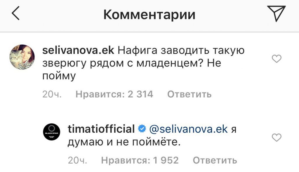 Тимати, бешеные коты