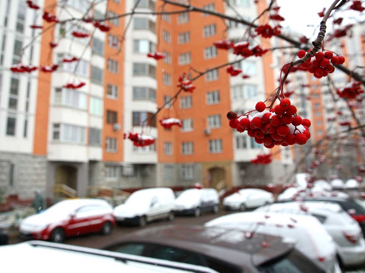 Погода в Москве на 7 дней: прогноз Гисметео о грядущих сюрпризах зимы - новости о метелях и морозах