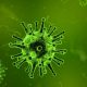Исследователи определили срок жизни коронавируса вне организма