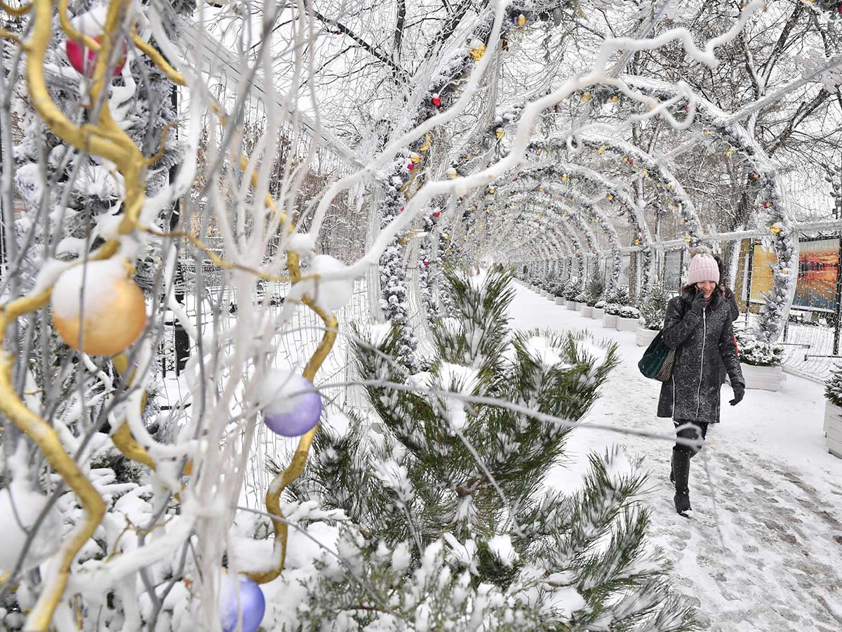 Погода в Санкт-Петербурге на 14 дней: температурный трамплин с прыжком в зиму - синоптики о предновогодних сюрпризах погоды